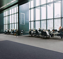 Flotex Colour Canyon 50*50 t545021 Canyon Stone фото 2 | FLOORDEALER